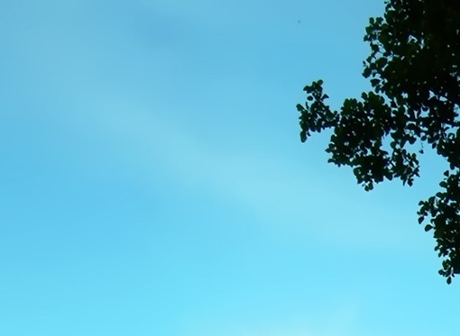 粉象生活头条引流