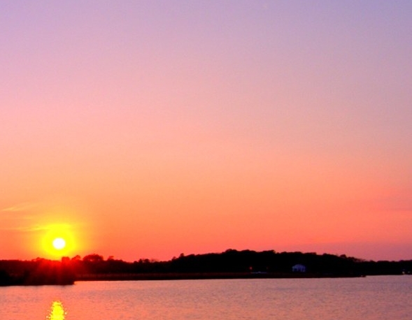 粉象生活如何做淘宝店