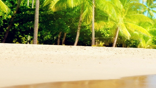 江西九象怎么样