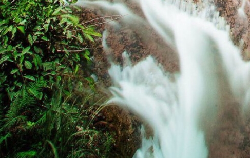 粉象生活用微信提现