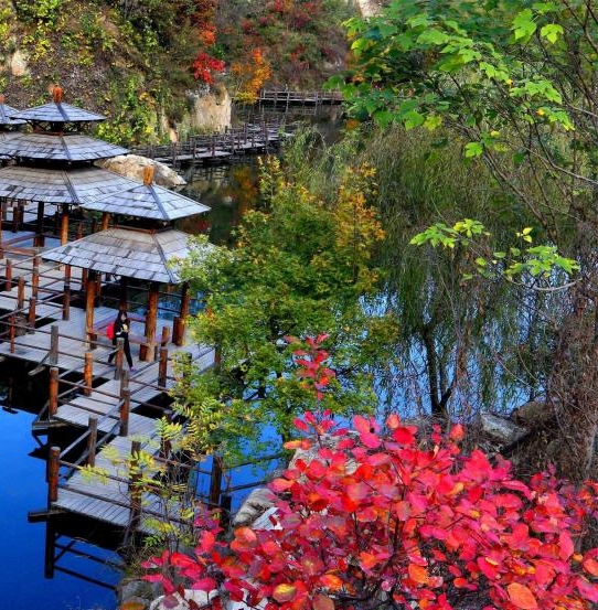 粉象生活怎么赚钱的