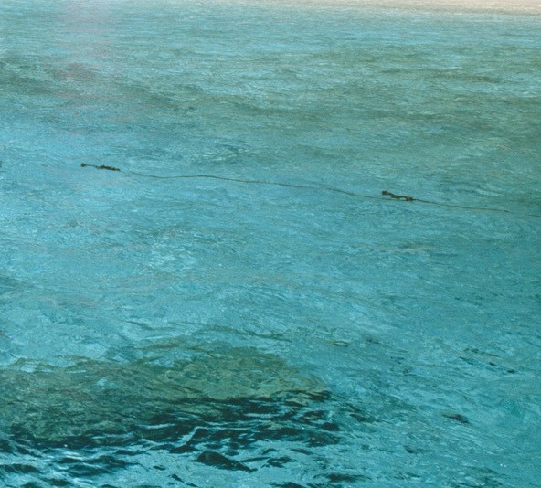 粉象生活如何选邀请码