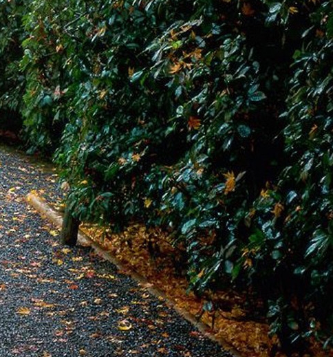 粉象生活可以赚钱吗安全吗