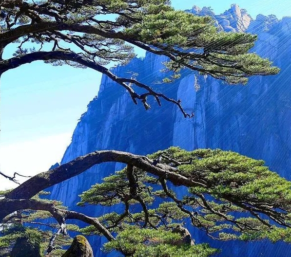 粉象生活邀请码