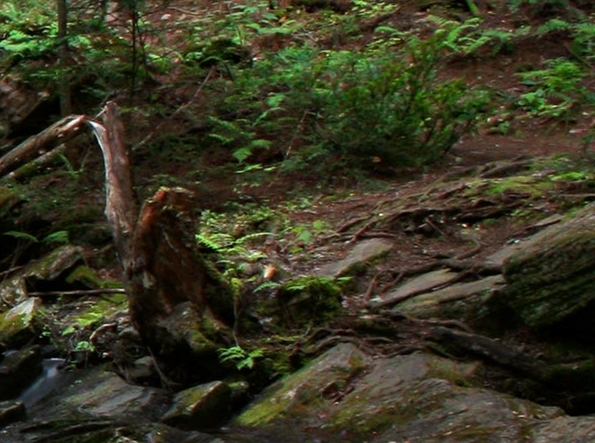 粉象生活邀请人能看到别人买了什么吗