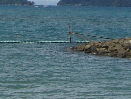 粉象生活下载