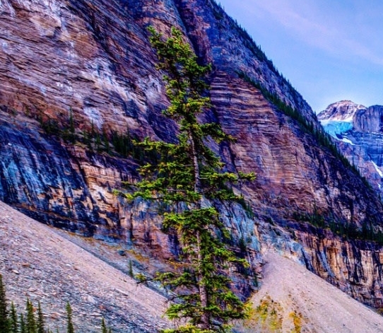 河南创新粉象生活怎么赚钱