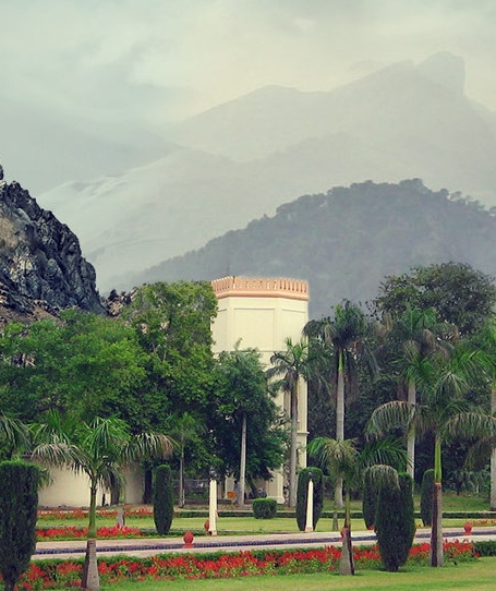 粉象生活天天领现金是真的吗