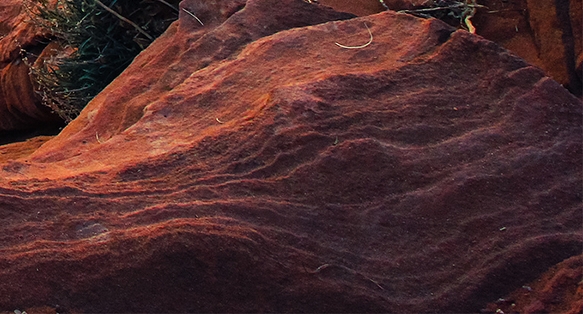 粉象生活是真的假的