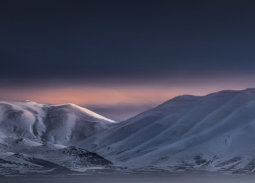 粉象生活邀请码