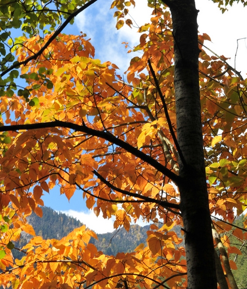 粉象生活怎么看邀请了好友