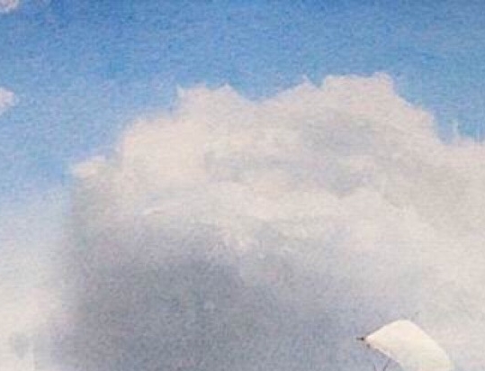 馋嘴象怎么加盟的