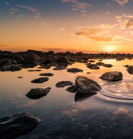 粉象生活粉丝怎么增加
