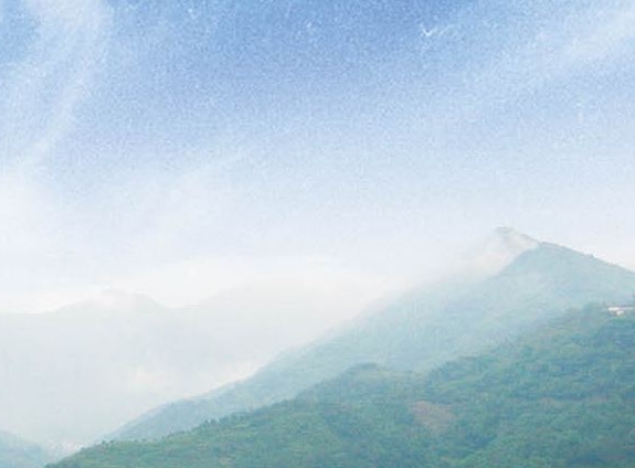 粉象生活模式合法吗