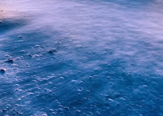 粉象生活下载app