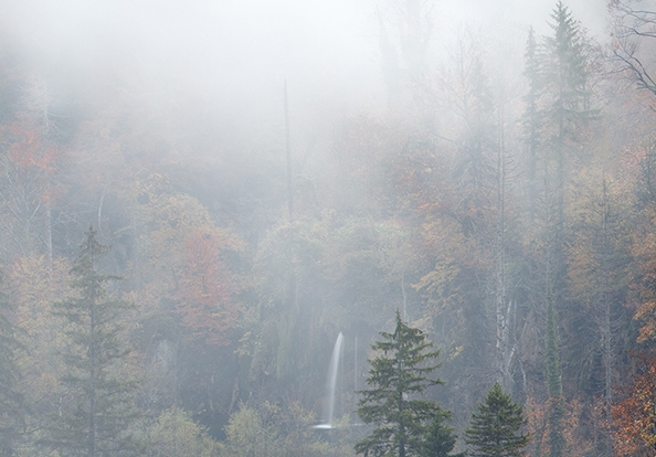 粉象生活app是干嘛的