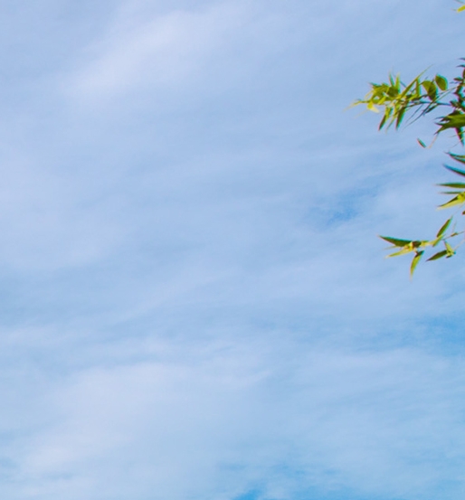 粉象生活赚钱教程