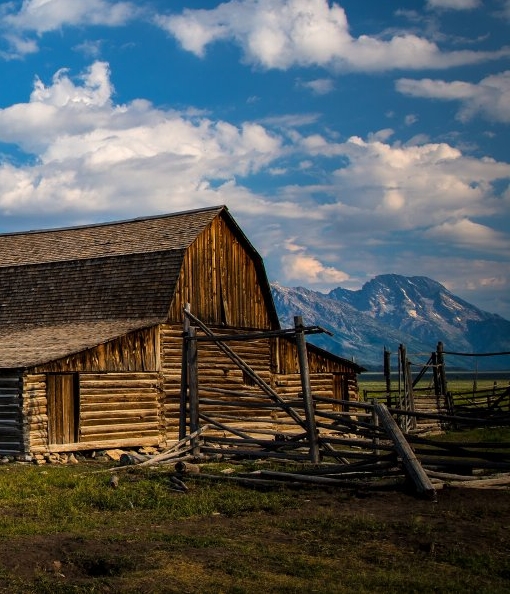 粉象生活怎么取消免费流量