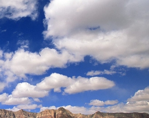 中山粉象生活赚钱