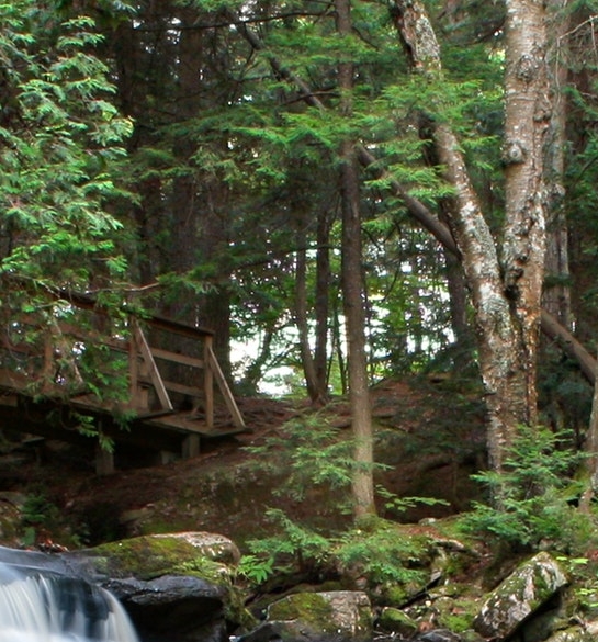 粉象生活的新用户有多少