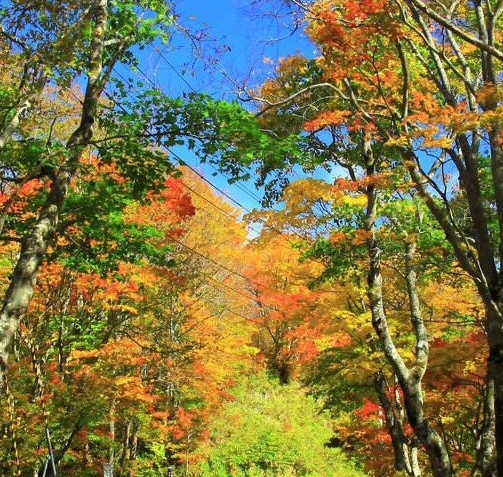 粉象生活怎么赚钱的