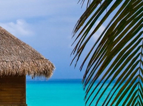 粉象生活是干嘛的