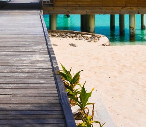 粉象生活官方APP邀请码