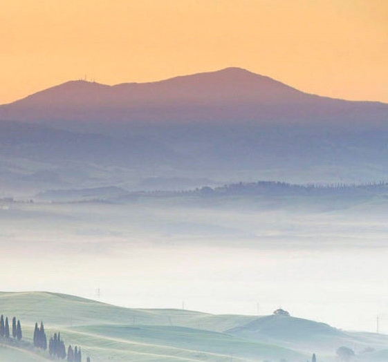 粉象生活vip升级可以退款吗