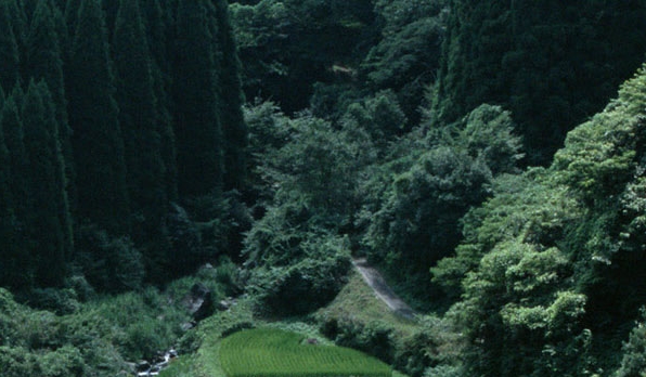粉象生活与哪个好