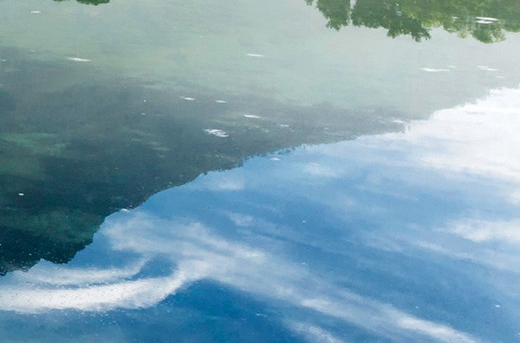 粉象生活真实收入