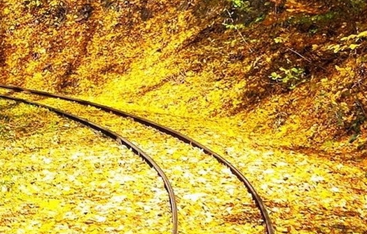 粉象生活不能用微信吗