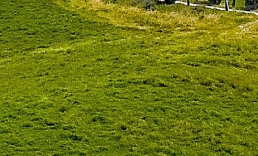 安徽运营粉象生活赚钱么