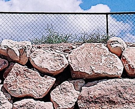 粉象生活做淘宝怎么样