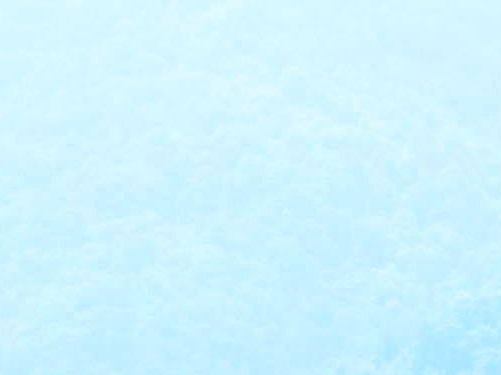 粉象生活邀请码