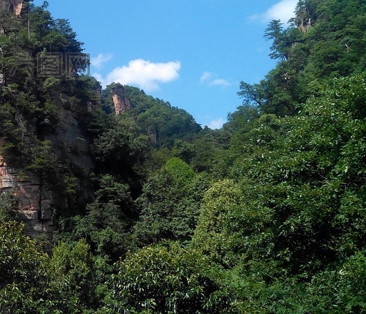 粉象生活红人装