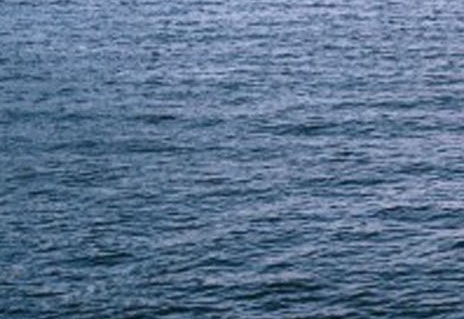 湖南粉象生活会员