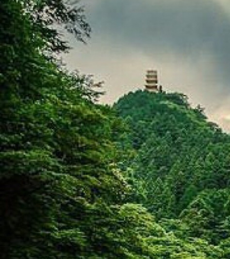 粉象生活是什么?