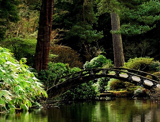 粉象生活外卖板块粉象生活