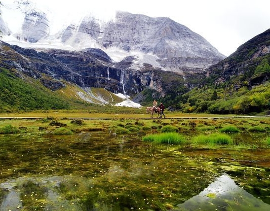粉象生活云发单