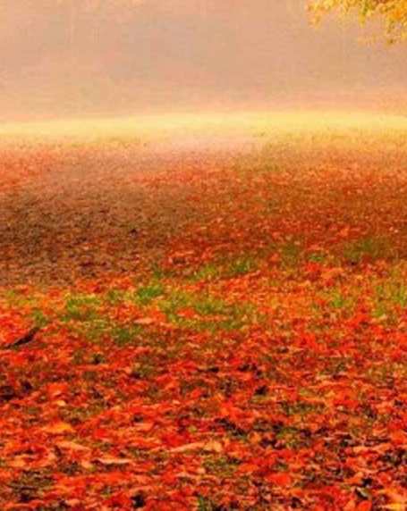 粉象生活会员名字怎么改