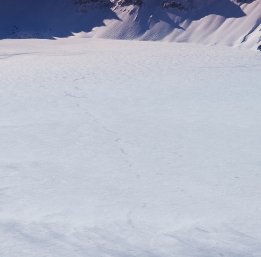 粉象生活的订单怎么查看