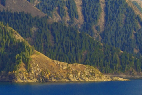 粉象生活怎么用微信收款