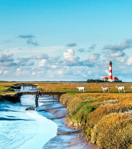 粉象生活邀请码