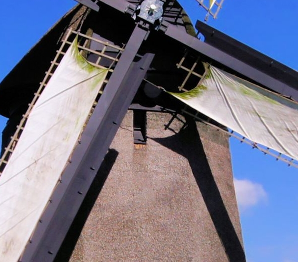 现在做粉象生活还赚钱吗