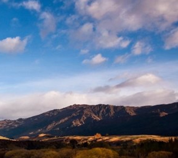 粉象生活代理怎么生成邀请码