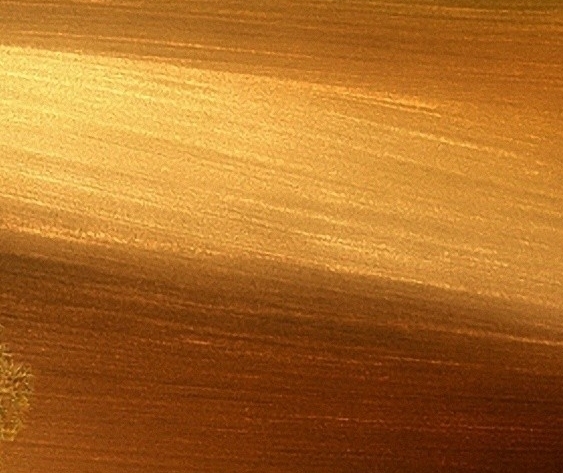 粉象生活是正规的平台吗