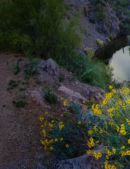 粉象生活是什么软件?能赚钱吗