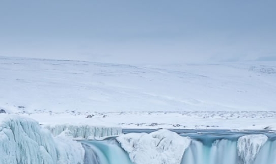 粉象生活怎么赚钱