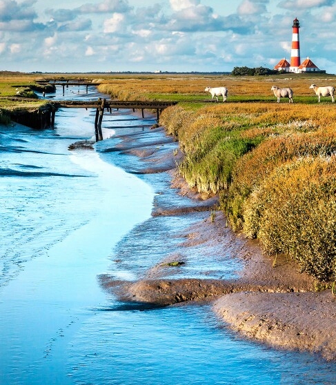 粉象生活培训课程