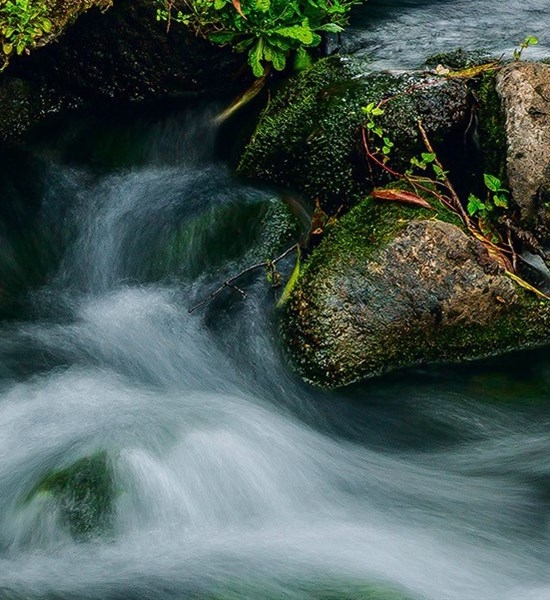 粉象生活如何看每个月收入